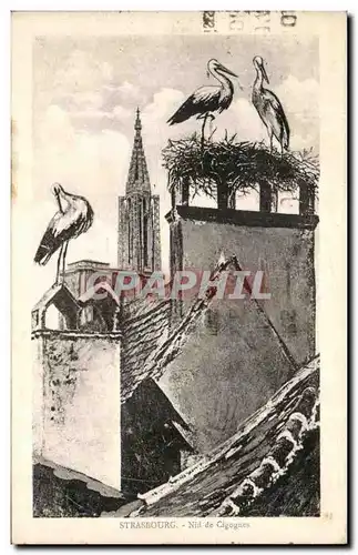 Cartes postales Strasbourg Nid de Cigognes