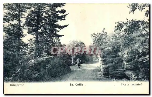 Cartes postales Mont Ste Odile Porte romaine