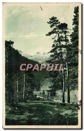 Cartes postales Cauterets Paysage dans la Vallee de Marcadau