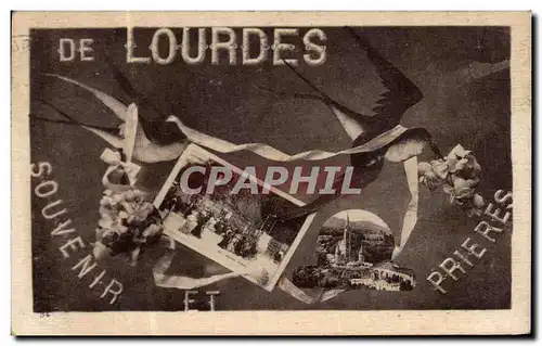 Cartes postales Lourdes De Souvenir Hirondelle Oiseau