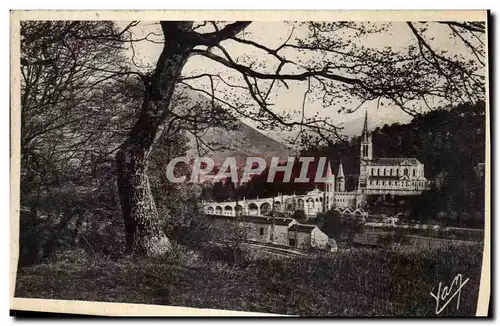 Cartes postales Lourdes La Basilique