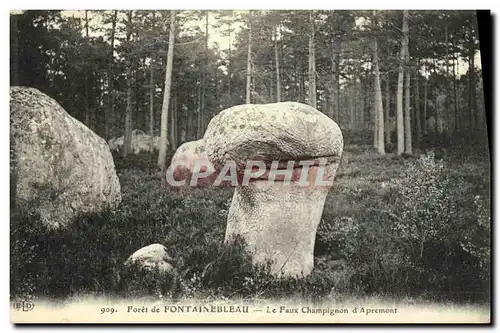 Ansichtskarte AK Foret de Fontainbleau Le Faux Champignon D Apremont