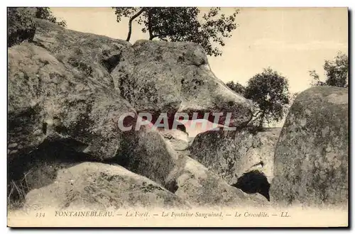 Cartes postales Fontainebleau La Foret La Fontaine Sanguined Le crocodile