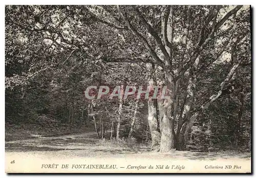 Ansichtskarte AK Fontainebleau De Foret Carrefour du Nid de L Aigle