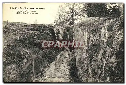 Cartes postales Fontainebleau Foret Gorges d Apremont Defil des mastodontes