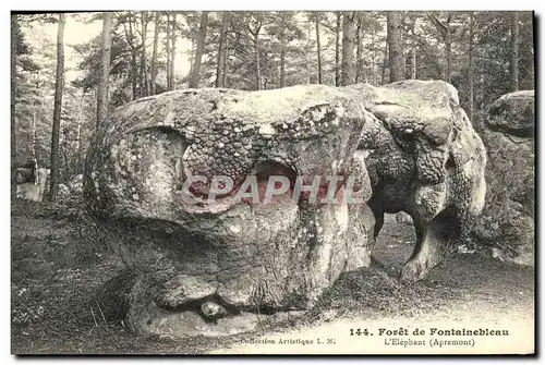 Ansichtskarte AK Fontainebleau Foret L elephant Apremont