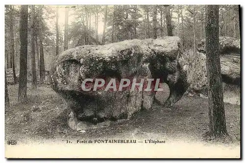 Ansichtskarte AK Fontainebleau Foret de L Elephant