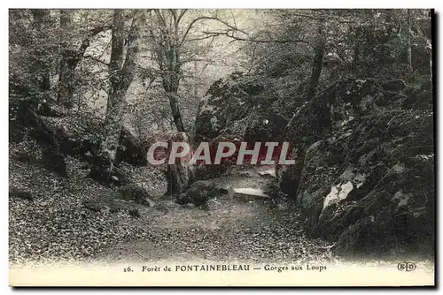 Ansichtskarte AK Fontainebleau Foret Gorges aux Loups