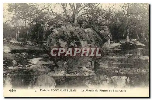 Ansichtskarte AK Fontainebleau Foret La Morille du Plateau de Belle Croix