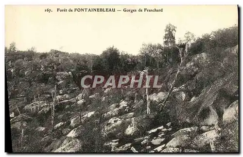 Ansichtskarte AK Fontainebleau Foret Gorges de Franchard