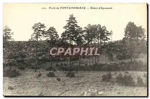 Ansichtskarte AK Fontainebleau Foret Desert d Apremont