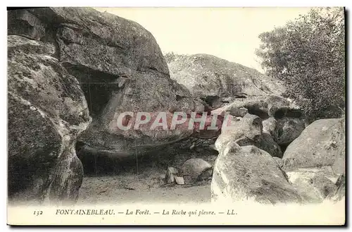 Ansichtskarte AK Fontainebleau Foret La Foret La Roche qui Pleure