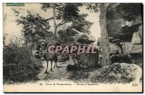 Ansichtskarte AK Fontainebleau Rocher d Apremont Cerf