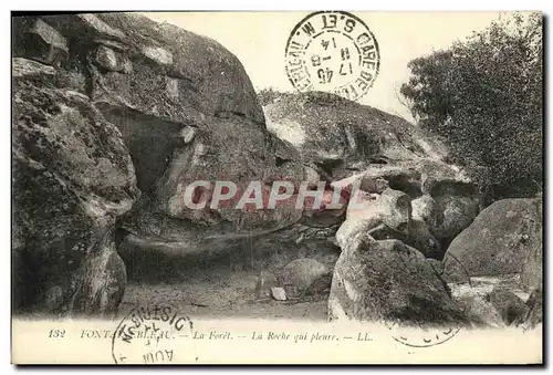 Ansichtskarte AK Foret De Fontainebleau La Foret La Roche qui Pleure