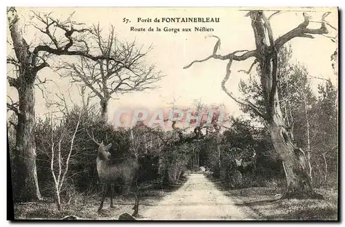 Ansichtskarte AK Foret de Fontainebleau Route de la Gorge aux Nefliers