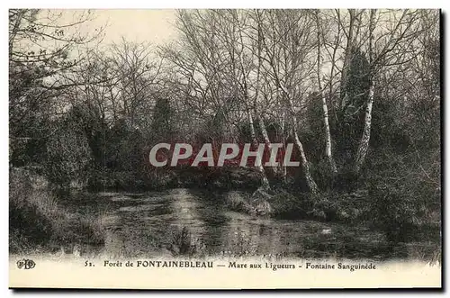 Cartes postales Foret de Fontainebleau Mare aux Ligueurs Fontaine Sanguinede