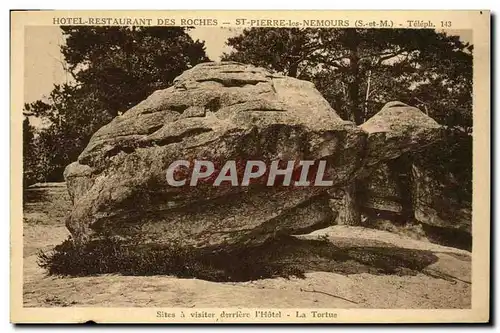 Cartes postales St Pierre les Nemours La tortue