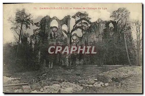 Cartes postales Dammarie Les Lys Ruines de L Abbaye du Lys