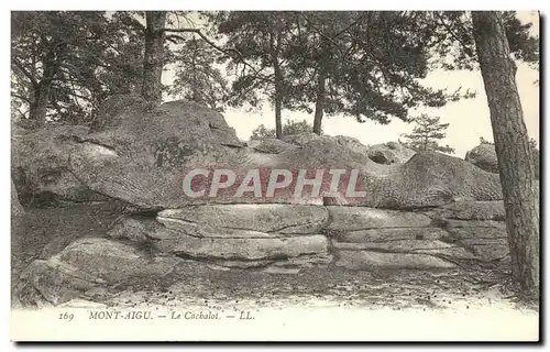 Cartes postales Mont Aigu Le Cachalot