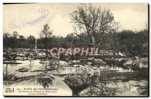 Ansichtskarte AK Palais de Fontainebleau Les mares du plateau de Belle Croix Cuvier Chatillon