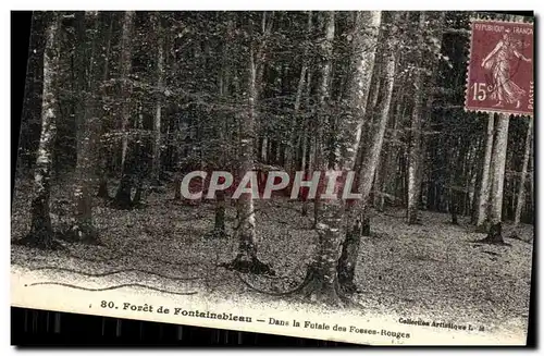 Cartes postales Foret De Fontainebleau Dans La Facade des Fosses Rouges