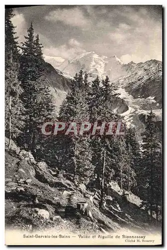 Cartes postales Saint Gervais les Bains Vallee et Aiguille de Bionnassay