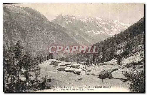 Cartes postales Trelechamp et le Mont Blanc