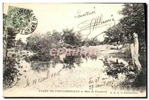 Cartes postales Foret De Fontainebleau Mare de Franchard