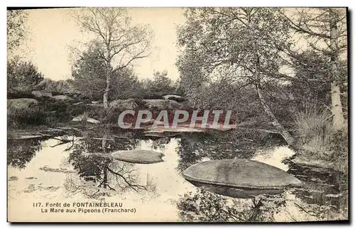 Cartes postales Foret de Fontainebleau La Mare aux Pigeons Franchard