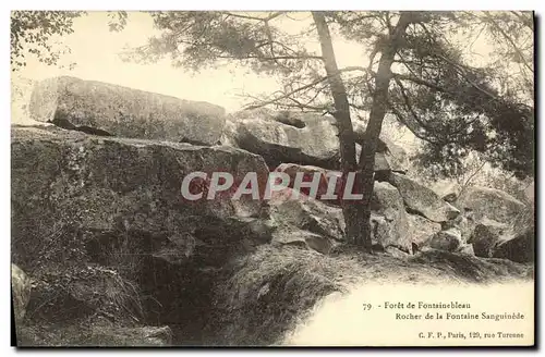 Ansichtskarte AK Foret de Fontainebleau Rocher de la Fontaine Sanguinede