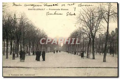 Ansichtskarte AK Chatellerault Promenade Blossac