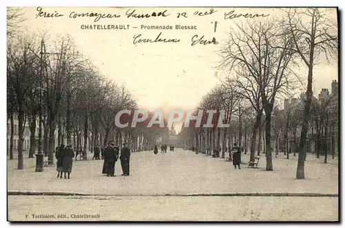 Cartes postales Chatellerault Promenade Blossac