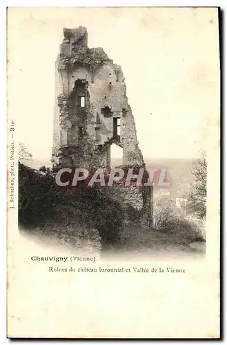 Ansichtskarte AK Chauvigny Ruines du Chateau baronnial et Vallee de la Vienne