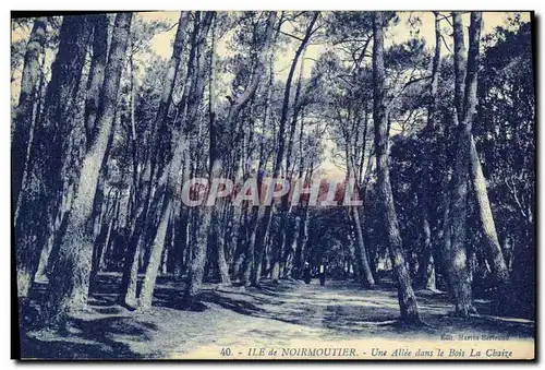 Cartes postales Ile de Noirmoutier Une Allee dans le Bois La Chaize