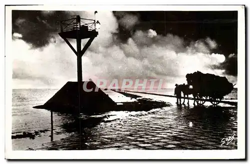 Cartes postales moderne Ile de Noirmoutier Le Passage du Gois la Nuit