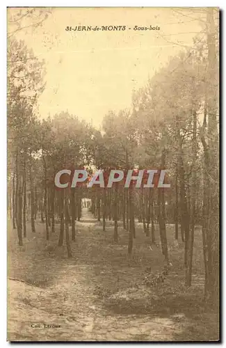 Cartes postales St Jean de Monts Sous Bois