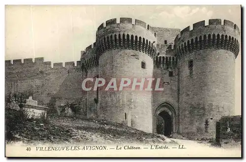 Cartes postales Villeneuve Les Avignon Le Chateau L Entree