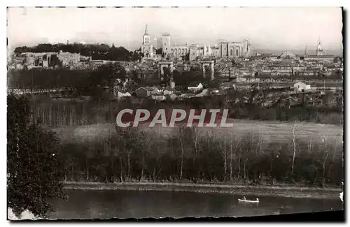 Cartes postales Avignon Le Rocher des Doms et le palais des papes