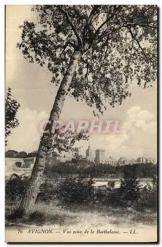 Cartes postales Avignon Vue Prise De La Barthelasse