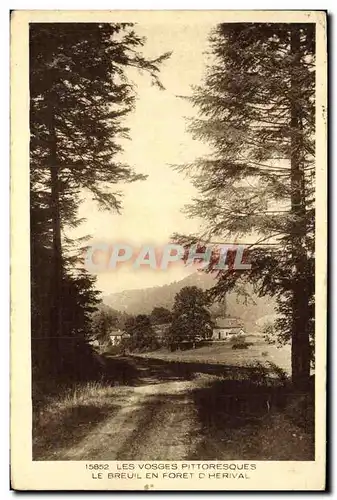 Cartes postales Les Vosges Pittoresque Le Breuil En Foret D Herival