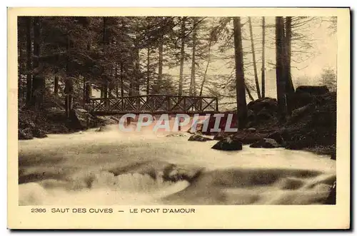 Cartes postales Saut Des Cuves Le Pont D Amour