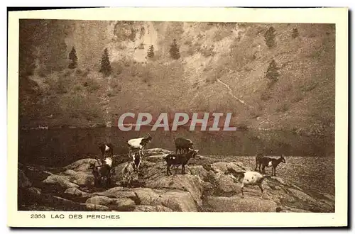 Cartes postales Lac Des Perches Chevres