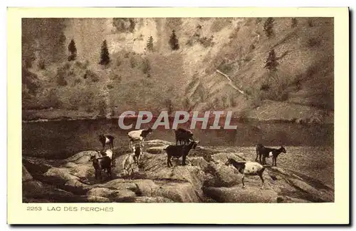 Cartes postales Lac Des Perches Chevres