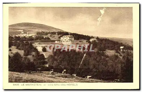 Cartes postales Le Markstein Les Grands Hotels