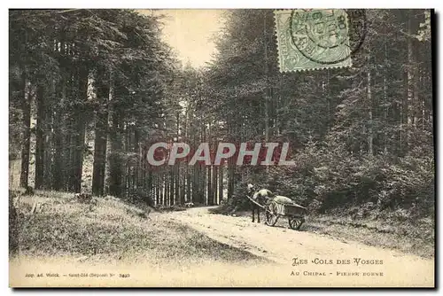Ansichtskarte AK Les Cols Des Vosges Au Chipal Perre Borne Charette Cheval