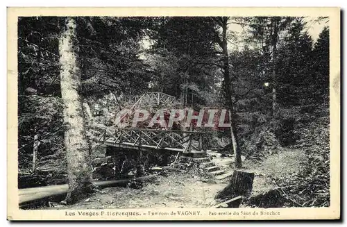 Cartes postales Les Vosges Pittoresque Environs de Vagney Passerelle du saut du Bonchot