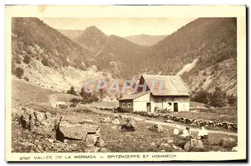 Cartes postales Vallee De La Wormsa Spitzkoepfe Et Hohneck