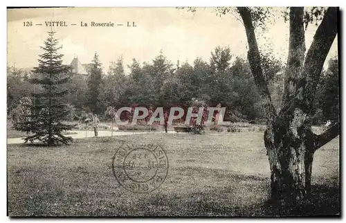 Cartes postales Vittel La Roseraie