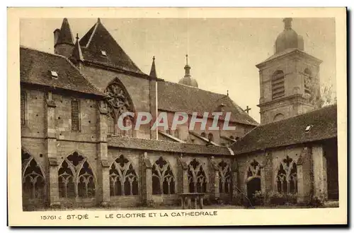 Cartes postales St Die Le Cloitre Et La Cathedrale