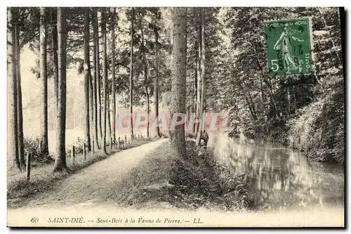 Ansichtskarte AK Saint Die Sous Bois a La Vanne de Pierre